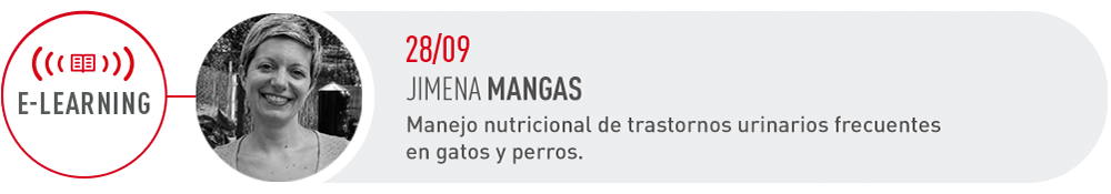 E-learning del 28 de septiembre con Jimena Mangas: manejo nutricional de trastornos urinarios frecuentes en gatos y perros.
